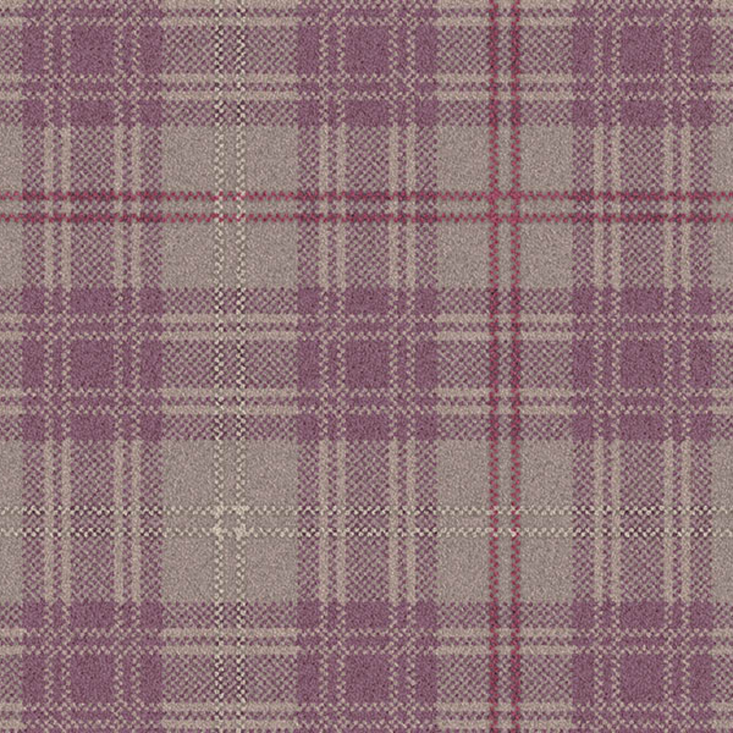 Traploper Ulster Carpets Breaburn Tayberry