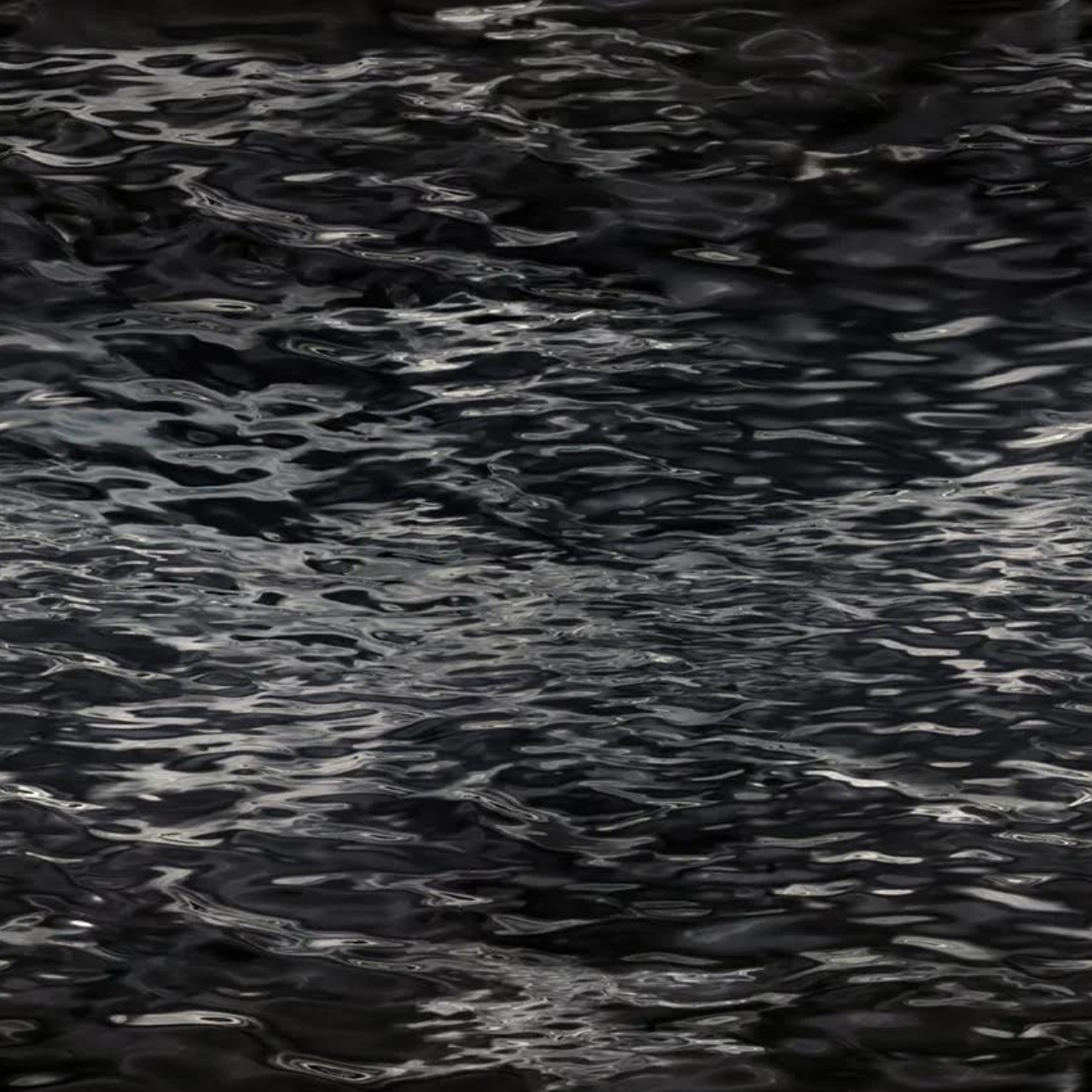 Traploper Moooi Carpets Fluid By Rive Roshan Black