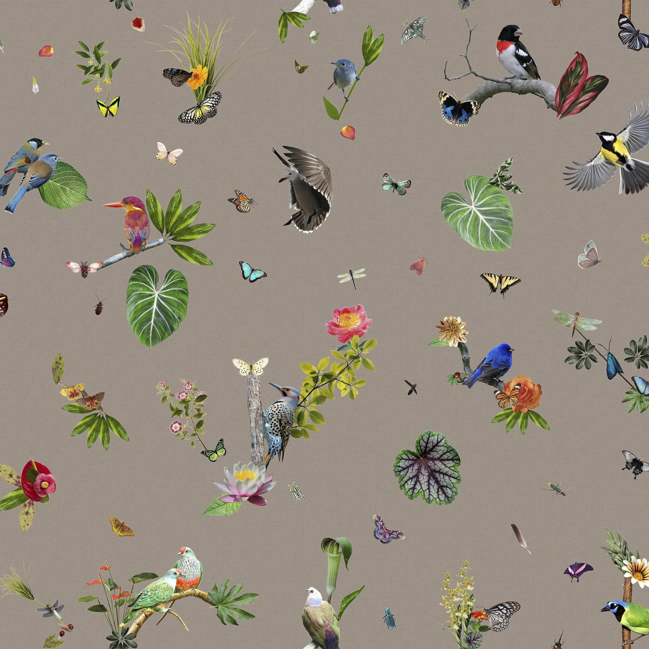 Traploper Moooi Carpets Bird by Edward van Vliet
