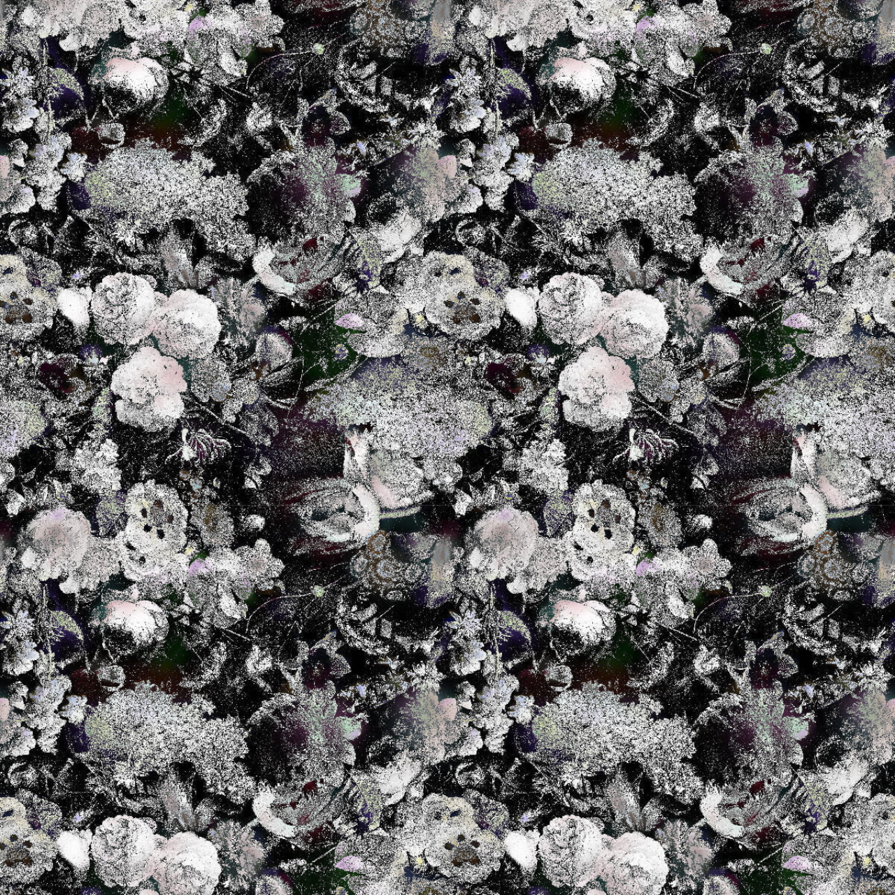 Traploper Moooi Carpets Eden Queen B&W by Marcel Wanders