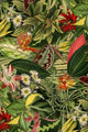 Traploper Moooi Carpets Herbarium of Extinct Plants