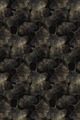 Traploper Moooi Carpets Ginko Leaf Black by Edward van Vliet