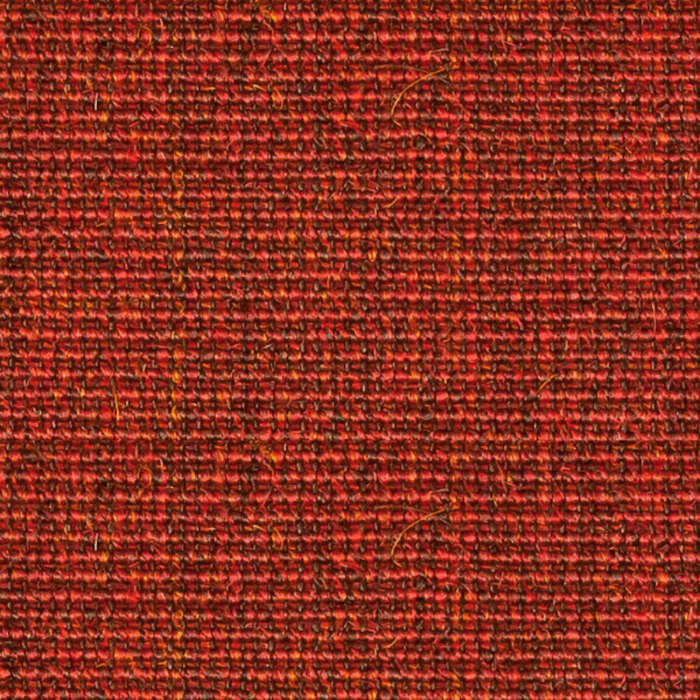 Traploper Cunera Boucle 341K