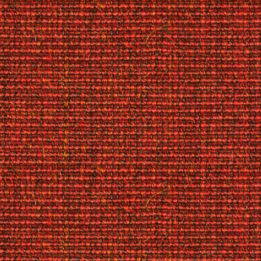 Traploper Cunera Boucle 341K