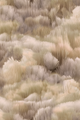 Traploper Moooi Carpets Beetle Dunes by Moooi