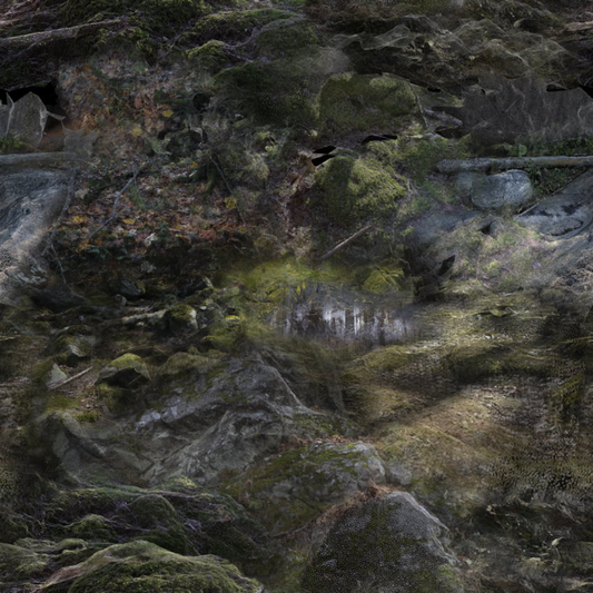 Traploper Moooi Carpets Forest Floor by Front