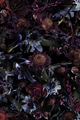 Traploper Moooi Carpets Fool' s Paradise by Marcel Wanders