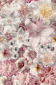 Traploper Moooi Carpets Flowergarden Day by Marcel Wanders