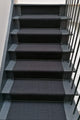 Traploper Hartley & Tissier Stripes Kelly Solid 07 Black